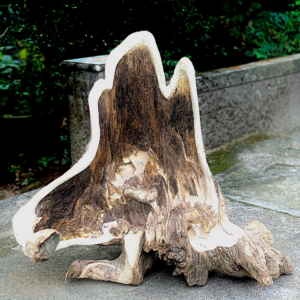 Agarwood Carving Art