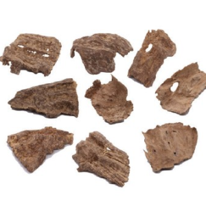 HAGA Oud Char third grade